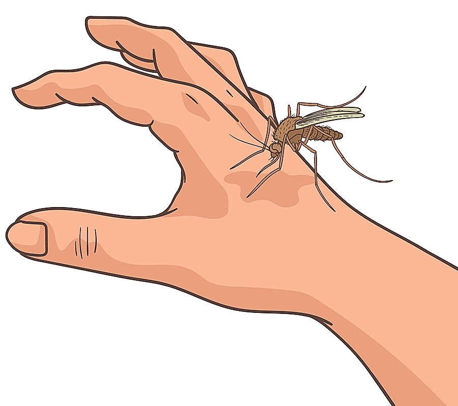 Böcek Isırığı Zararlı Mı?