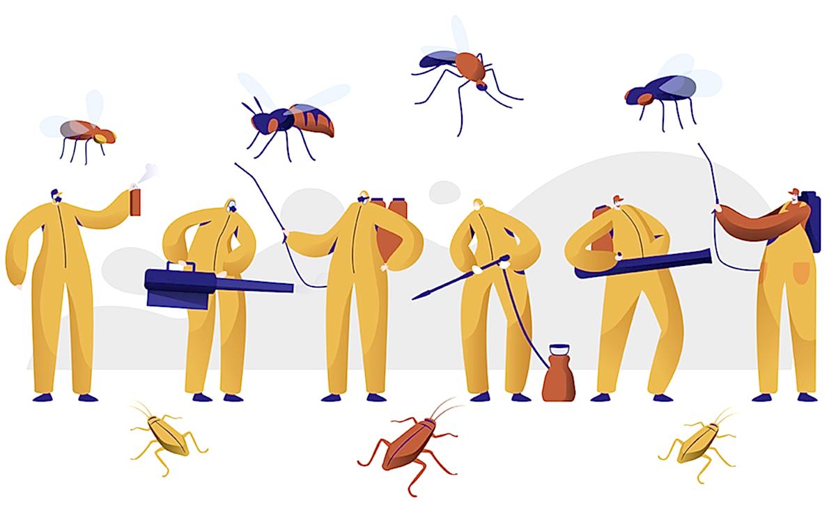 Doğa Dostu Böcek İlaçlama ve Çevre Bilinçli Yaklaşımlar