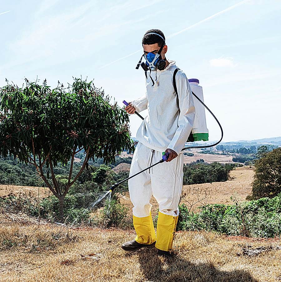 Çiftliklerde ve Tarım Alanlarında Böcek İlaçlama: Sorunlar ve Çözümler