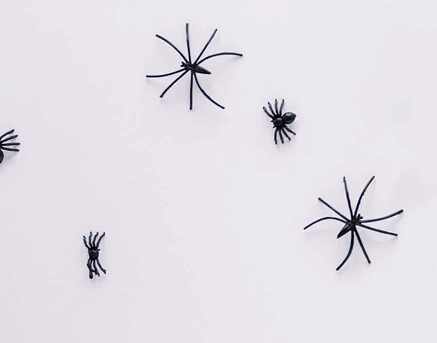 Örümcek İlaçlama