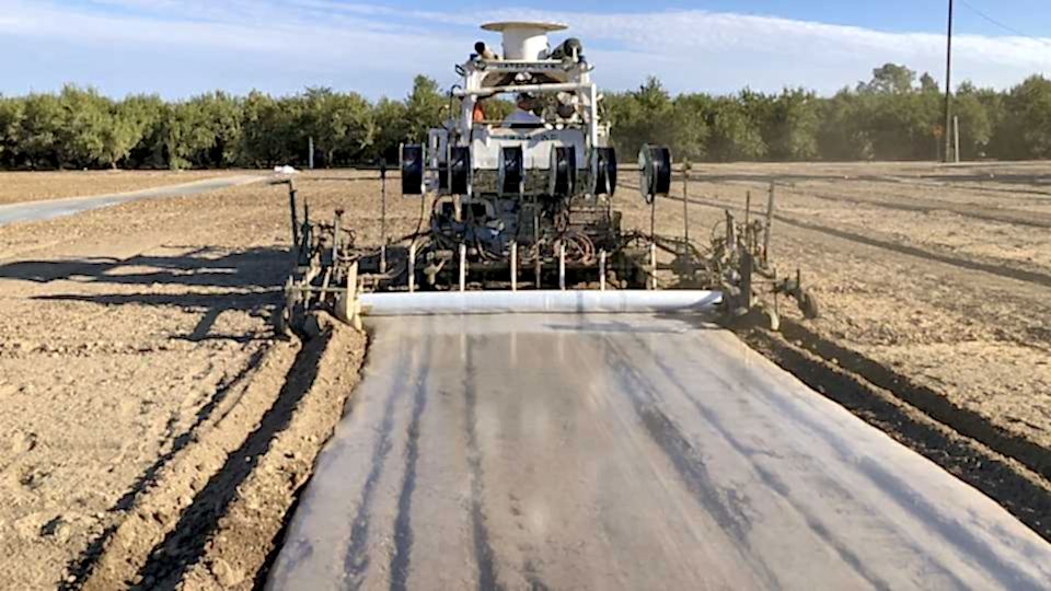 Çadır Altı Fümigasyon