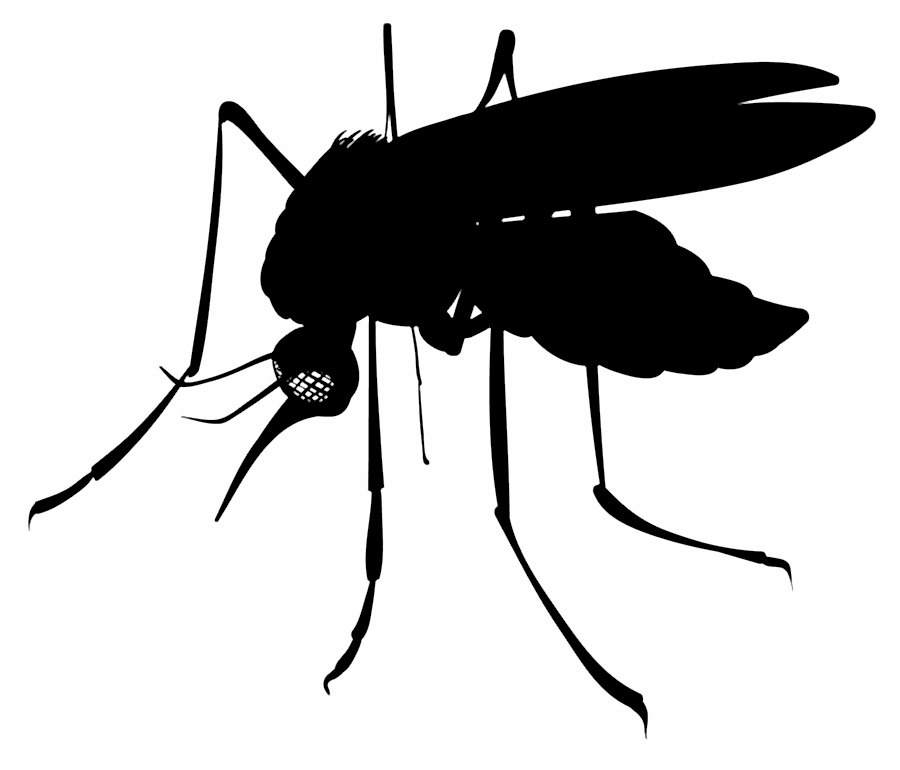 Sivrisinek İlaçlama