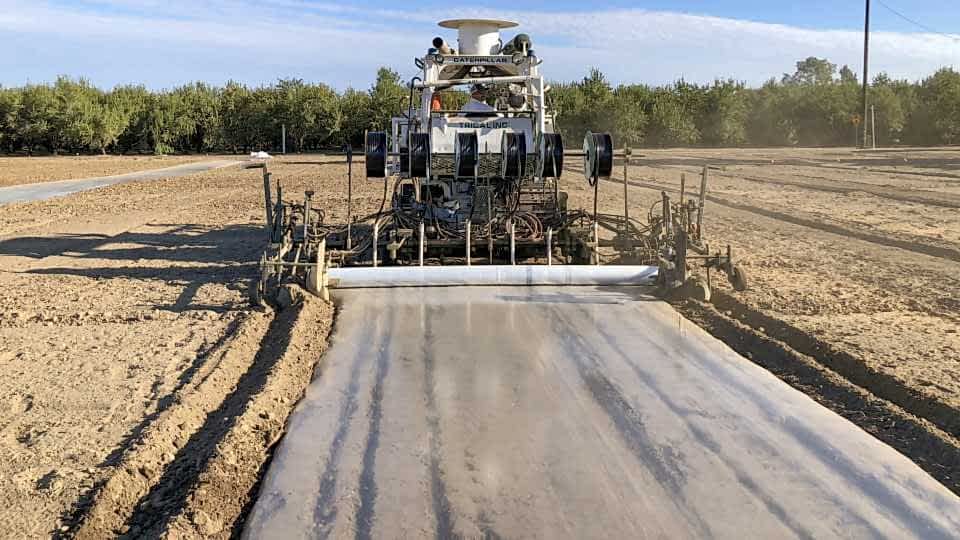 Çadıraltı Fümigasyon